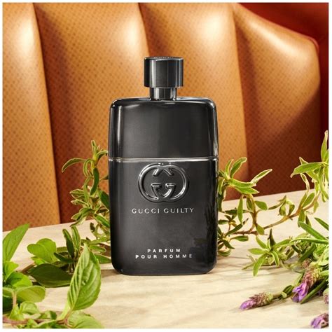 gucci guilty poure homme|Gucci Guilty Pour homme fragrantica.